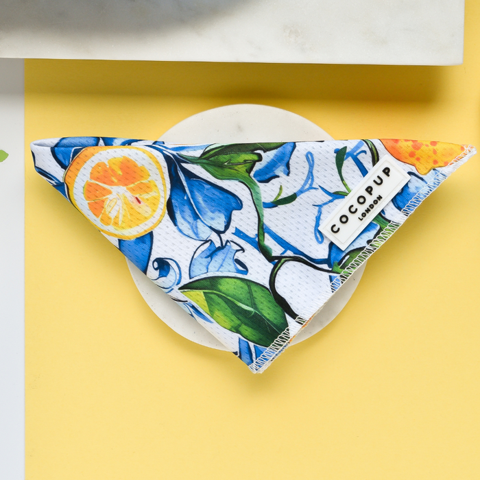 A vibrant, triangular cloth with a colorful floral and lemon pattern sits neatly folded on a round, white plate. The Cocopup London Bandana - Amalfi Lemon features a small label with the text "C O C O P U P London." The background is a contrasting yellow, adding to the cheerful aesthetic of this delightful dog accessory.