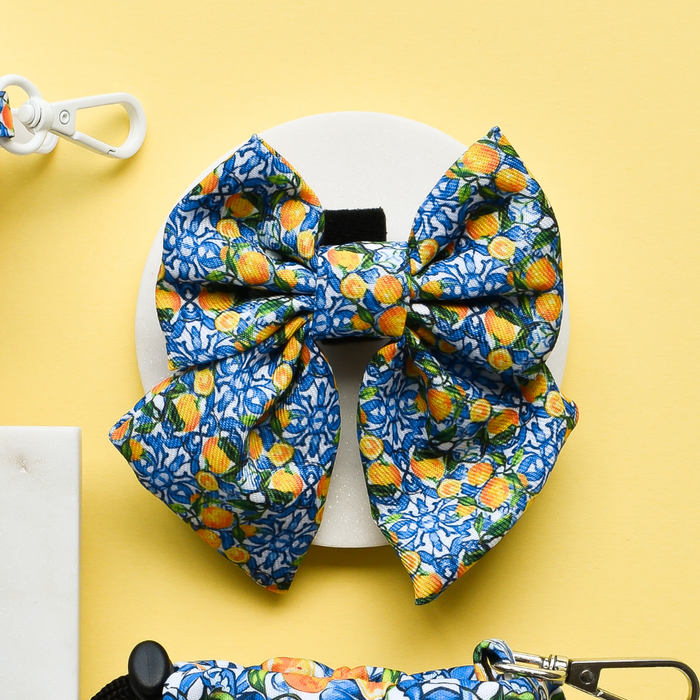 Yellow dog sailor bow tie with orange and white pattern by Cocopup London.