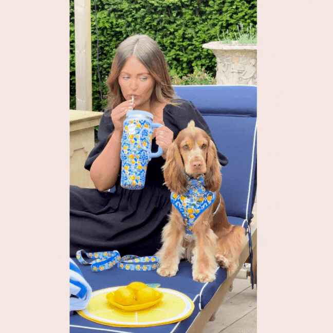 Woman sits on a lounge chair with her dog wearing a yellow lemon-patterned sailor bow tie.