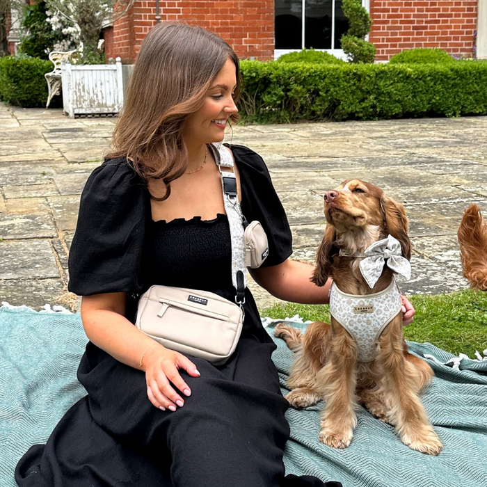 A woman dressed in a black dress sits on a blue picnic blanket, carrying a beige shoulder bag with an embroidered design and the Luxe Bag Strap - Garden Meadow by Cocopup London. Beside her, a dog with long, brown fur wears a matching patterned bow and harness. They both gaze at each other affectionately, with a brick building and greenery in the background.