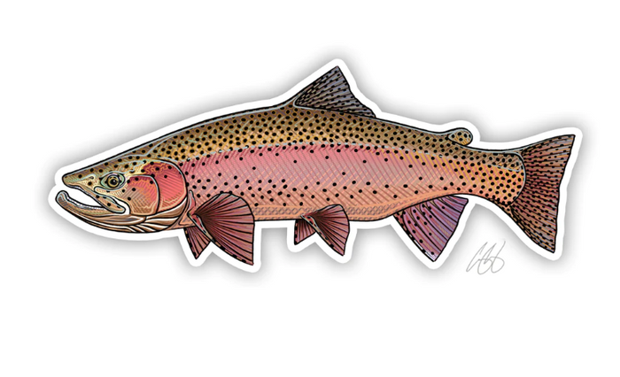 Casey Underwood Spring Rainbow Decal