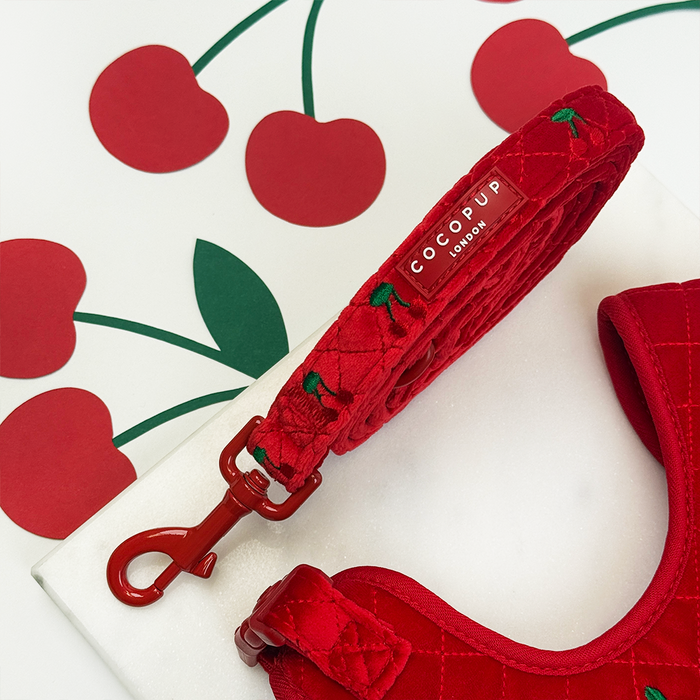 Red velvet dog lead with cherry print and subtle Cocopup London branding, shown with matching harness.