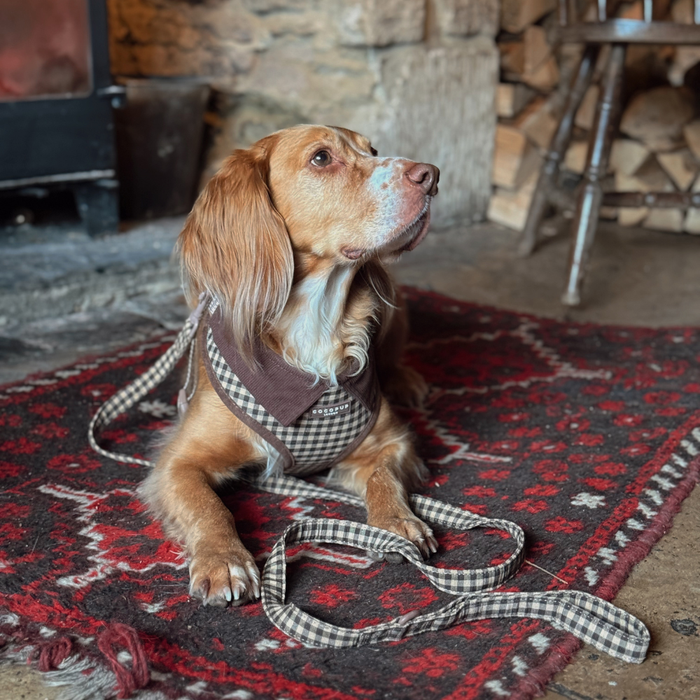 Brown dog wears a Cotswold Check adjustable harness, lying on a red patterned rug near stacked wood.