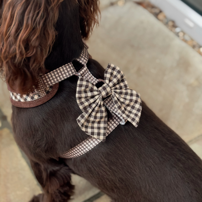 Dark brown spaniel wearing a Cocopup London harness and large bow tie in Cotswold check pattern.