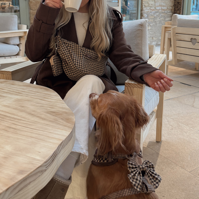 Dog in a plaid Cotswold Check Sailor Bow Tie sits beside a woman drinking coffee at a café.