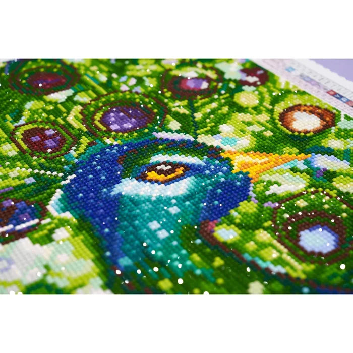 Diamond Art Club Mr. Peacock Diamond Painting Kit