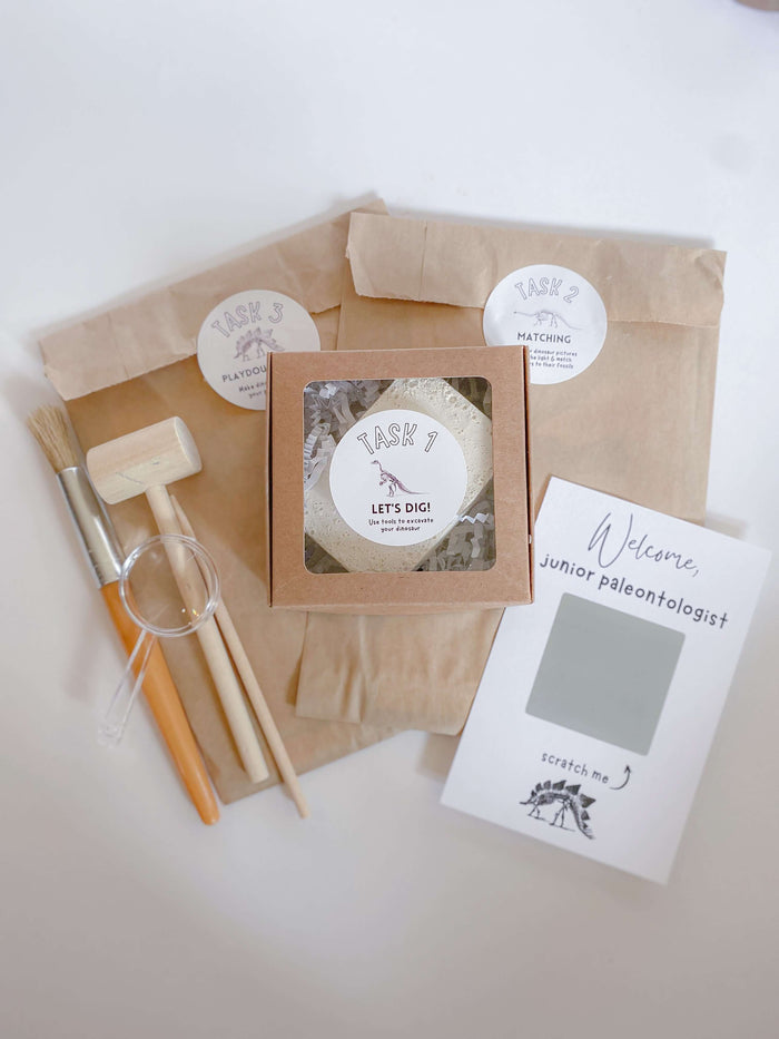 Children's Dinosaur Dig and Art Kit