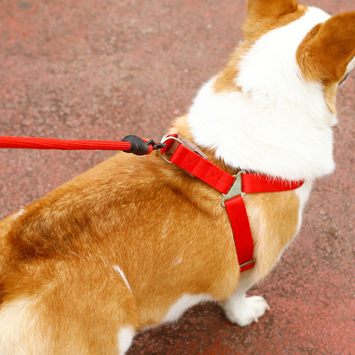 Dealonlinenz dog harness and leash set for puppies, adjustable pet harness with 2.5cm traction rope on a white background.