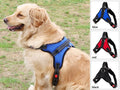 Adjustable dog harness set with chest strap and collar, suitable for walking, by dealonlinenz, brand dealonline.co.nz