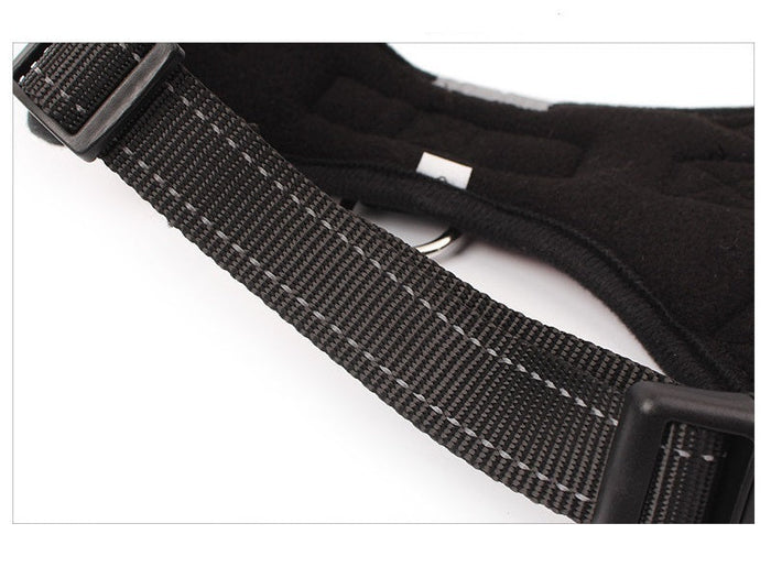 Adjustable dog harness set with chest strap and collar, ideal for walking and training, by dealonline.co.nz