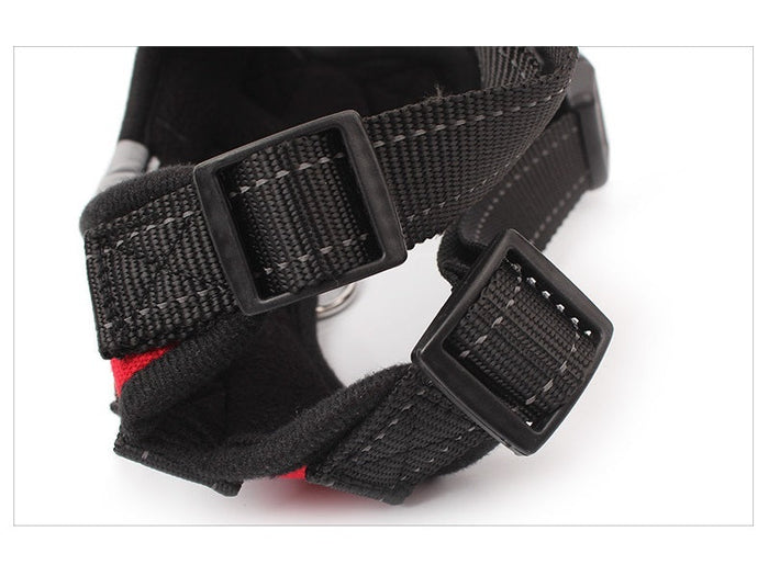 Dog harness set with adjustable chest strap and collar, lightweight vest for comfortable walks, by dealonline.co.nz.