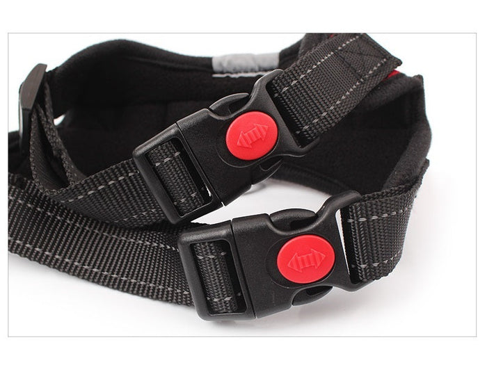 Dealonlinenz adjustable dog harness set with chest strap and collar, ideal for walking and outdoor activities.