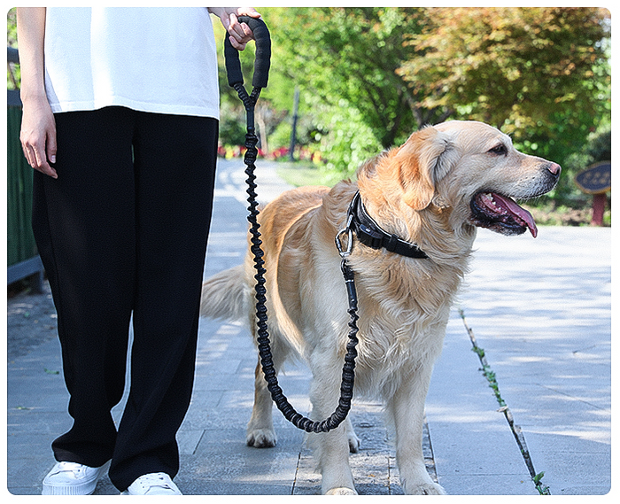 Heavy-duty dog leash with shock-absorbing bungee and handle, 80-105cm length, from dealonline.co.nz