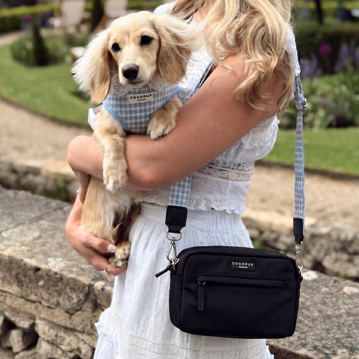 Dog Walking Bag Bag Bundle - English Blue