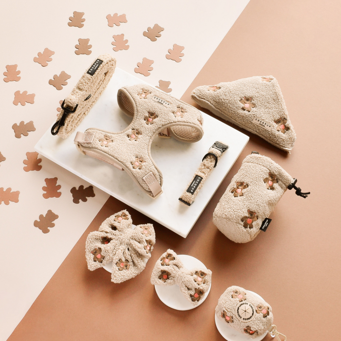 Theo Teddy treat pouch and beige floral dog accessories on a pastel surface with bear-shaped confetti.