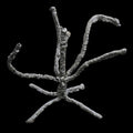 Exo Terra Bendable Jungle Tree