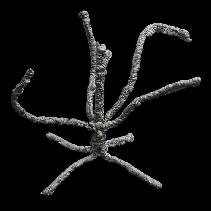 Exo Terra Bendable Jungle Tree