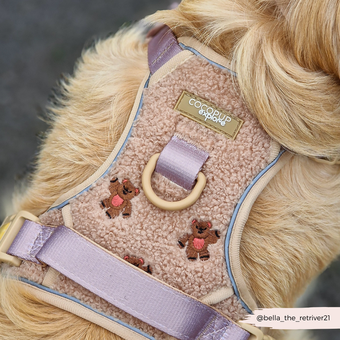 Golden retriever in a beige Cocopup London Explore Harness with Theo embroidered detail and soft teddy material.
