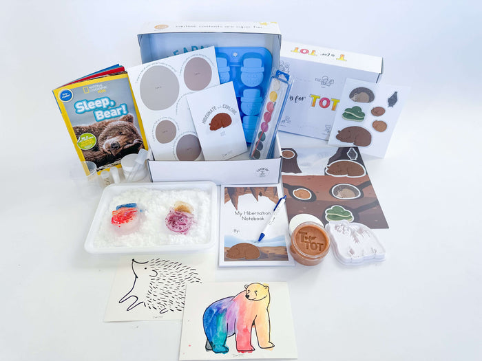 Complete contents of T is for Tot's Hibernation Kit for preschoolers