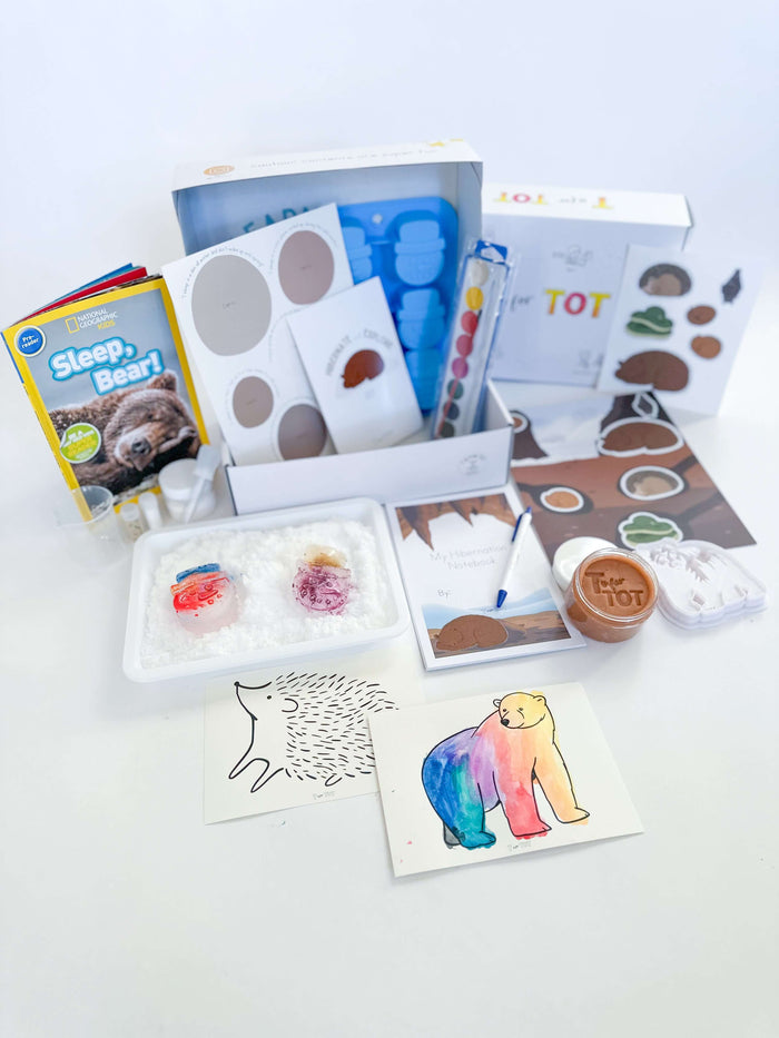 Complete contents of T is for Tot's Hibernation Kit for preschoolers