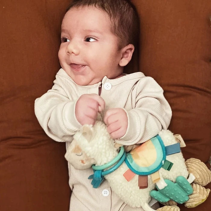 Itzy Ritzy Itzy Friends Link & Love™ Llama Activity Plush with Teether Toy