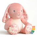 Itzy Ritzy Sweetie Snuggles™ Ana Pink Bunny Plush Toy