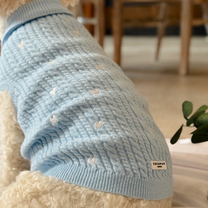 Dog in a blue cord jumper with white hearts and side label.