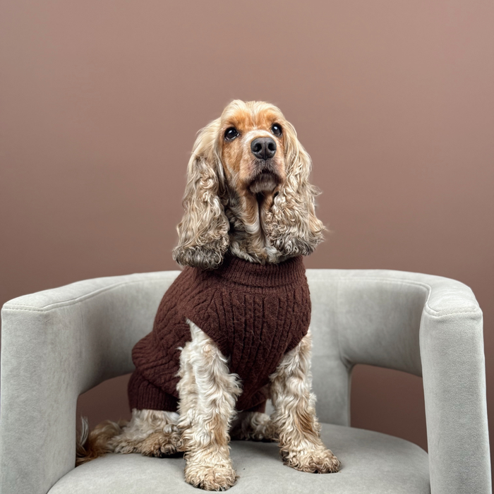 Curly-haired dog wears Cocopup London cable knit jumper in hot cocoa color, sitting on a light gray chair with brown backdrop.