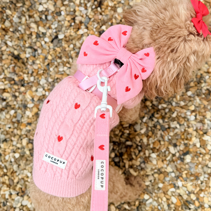 Dog in a pink cable knit Cocopup London jumper with a pink bow and matching pink leash.