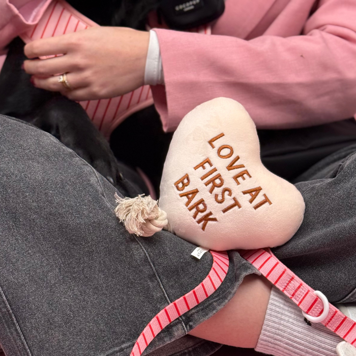 Cocopup London Love at First Bark dog toy on a lap next to a pink-striped leash.
