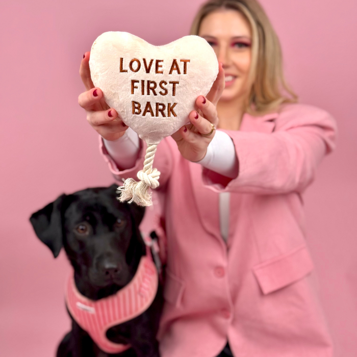 Woman holds a pink Cocopup London Love at First Bark plush dog toy next to a black dog in matching pink accessories.