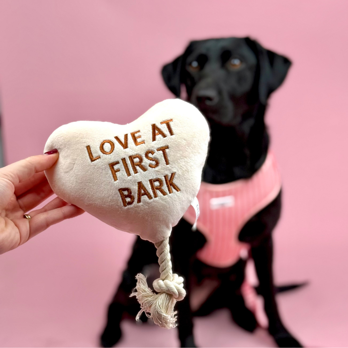 Black dog in a pink harness behind the Cocopup London Love at First Bark plush dog toy.