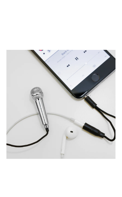 Mini Karaoke Microphone