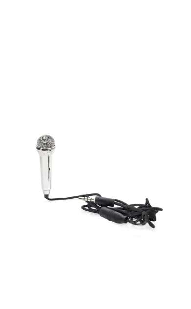 Mini Karaoke Microphone