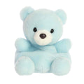 Palm Pals 5 Inch Benny the Baby Bear Boy Plush Toy