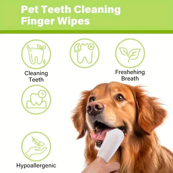 9eight5 pet dental care finger wipes for cleaning pets' teeth and gums, shown on a pet's mouth in a multipurpose dental tool kit.