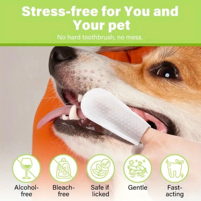 9eight5 pet dental care finger wipes in a pack, designed for cleaning pets' teeth and gums easily and effectively.