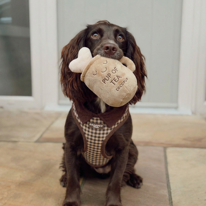 Chocolate cocker spaniel in a gingham harness holds a plush Cocopup London Pup of Tea dog toy in its mouth.
