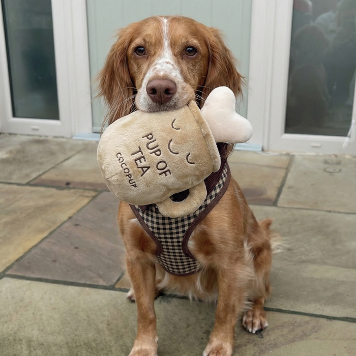 Golden dog in a checkered harness holds a plush Cocopup London tea-themed dog toy in its mouth.