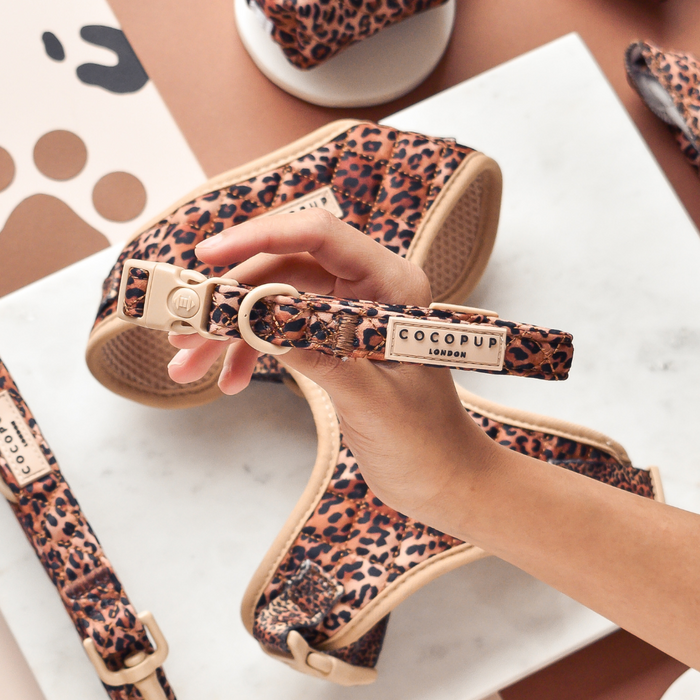 Hand holding a quilted leopard print dog harness, lead, and collar set on a white background.