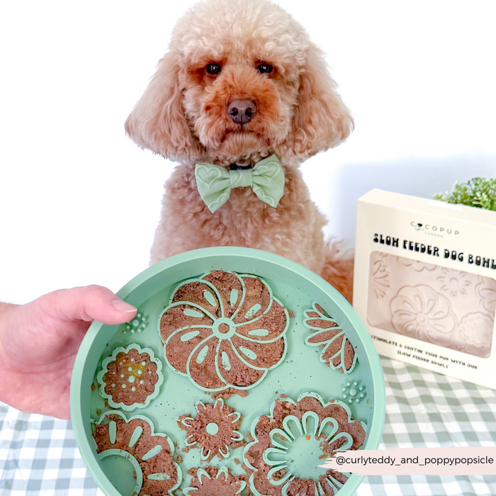 Cocopup London Sage Flowers slow feeder dog bowl with a floral pattern, shown with a poodle in a bow tie behind it.