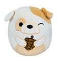 Squishmallow 8 Inch Brock the Bulldog with Pinecone Harvest Plush Toy *FINAL SALE*