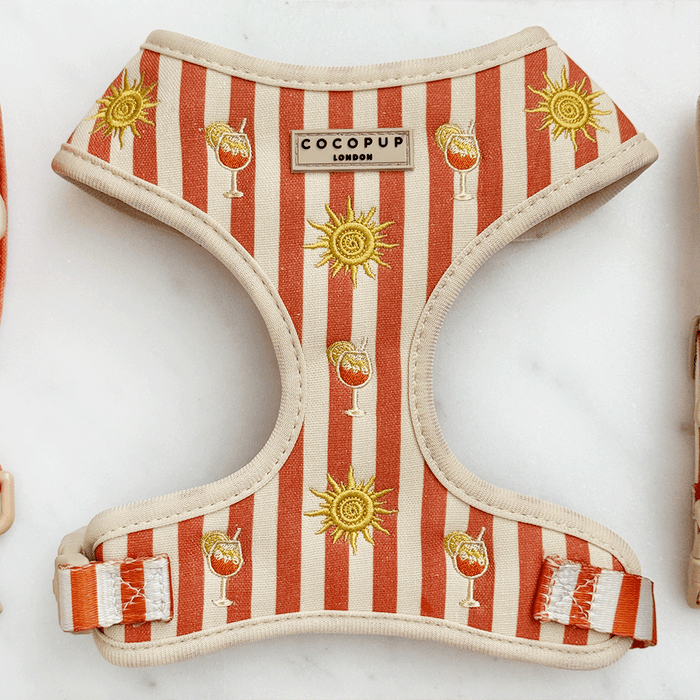A orange and beige stripe dog harness, with embroidered drink and sun graphics.
