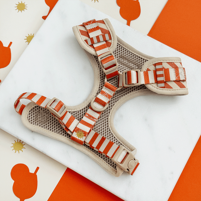 A orange and beige stripe dog harness, with embroidered drink and sun graphics.