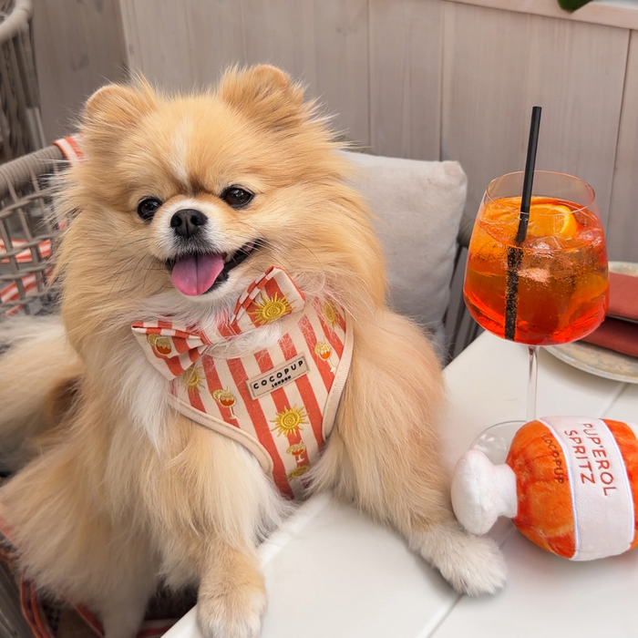 Sunshine & Spritz Adjustable Neck HARNESS