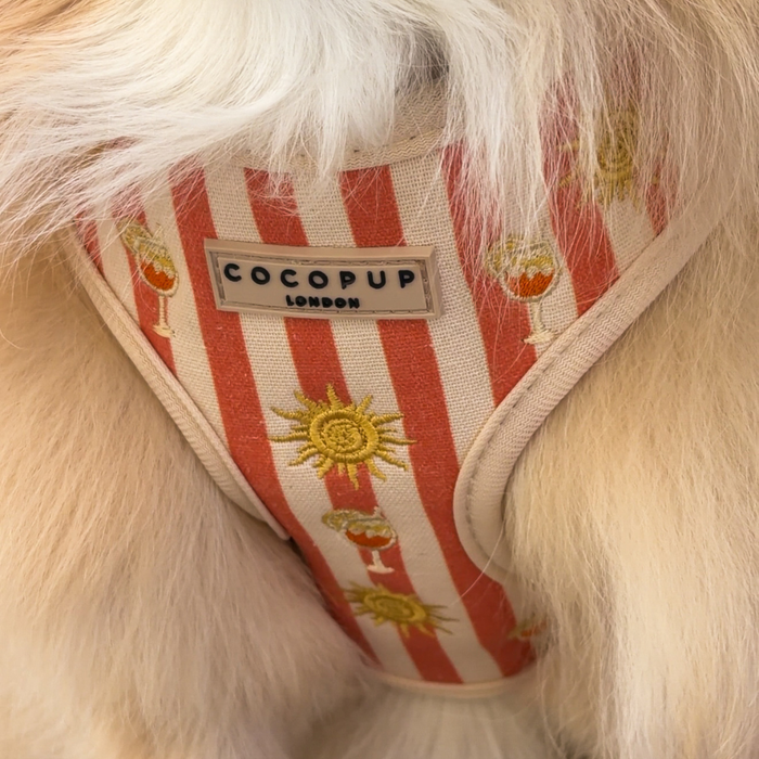 Sunshine & Spritz Adjustable Neck HARNESS