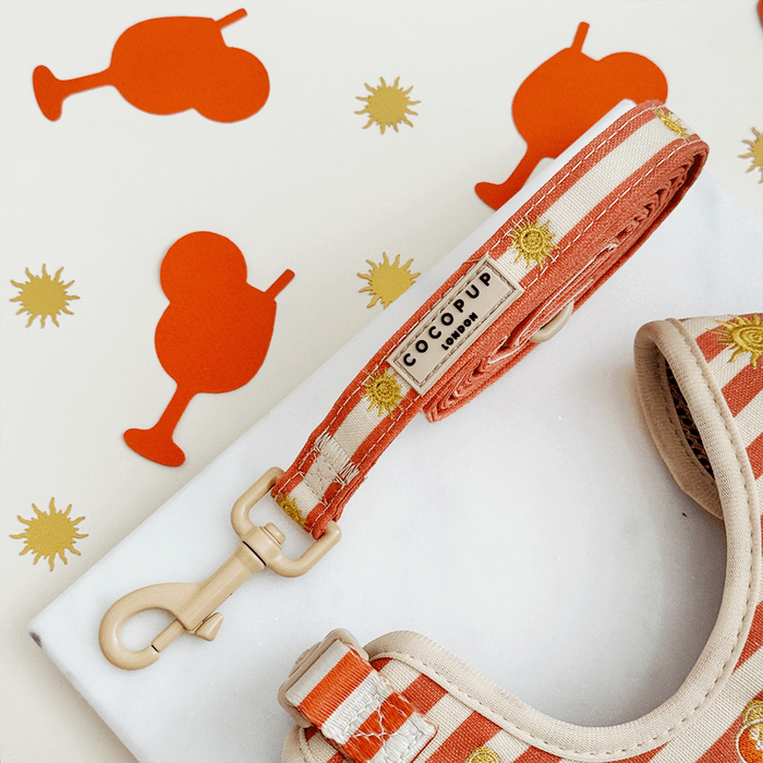 A orange and beige stripe dog lead, with embroidered drink and sun graphics.