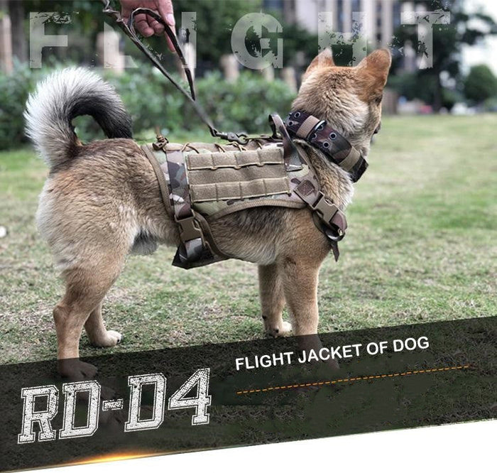 Tactical dog harness flight jacket training vest in black with adjustable straps and handle, designed for active and training dogs.