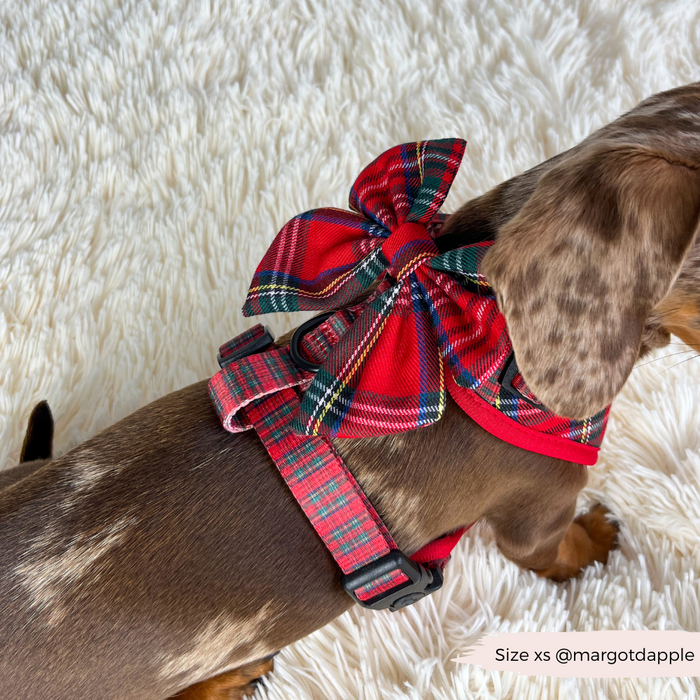 Dachshund wearing a Cocopup London red tartan sailor bow tie resting on a fluffy white rug.