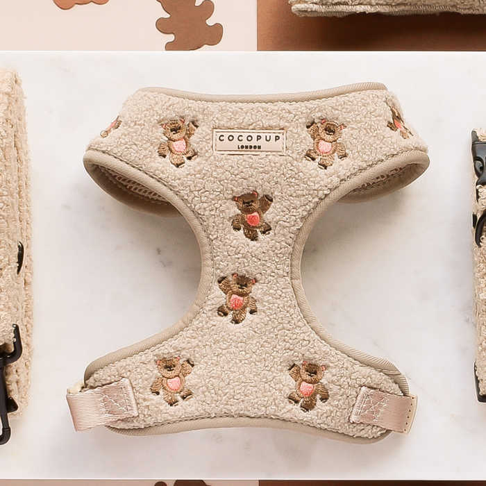 Cocopup London teddy bear embroidered adjustable harness on a marble surface.